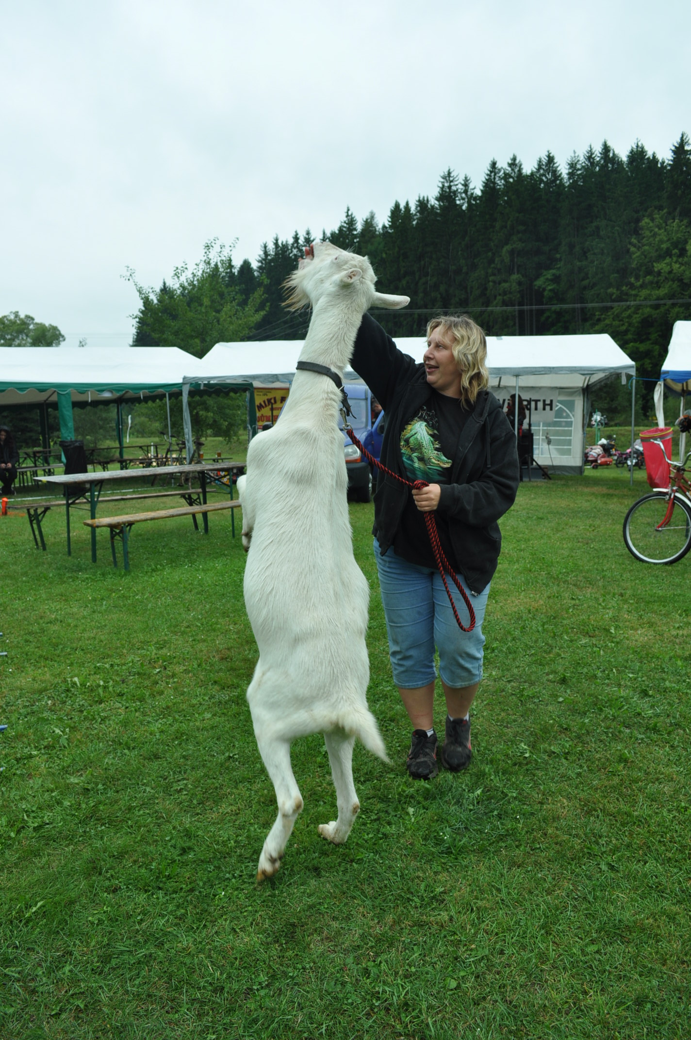 DSC_10001 (59)