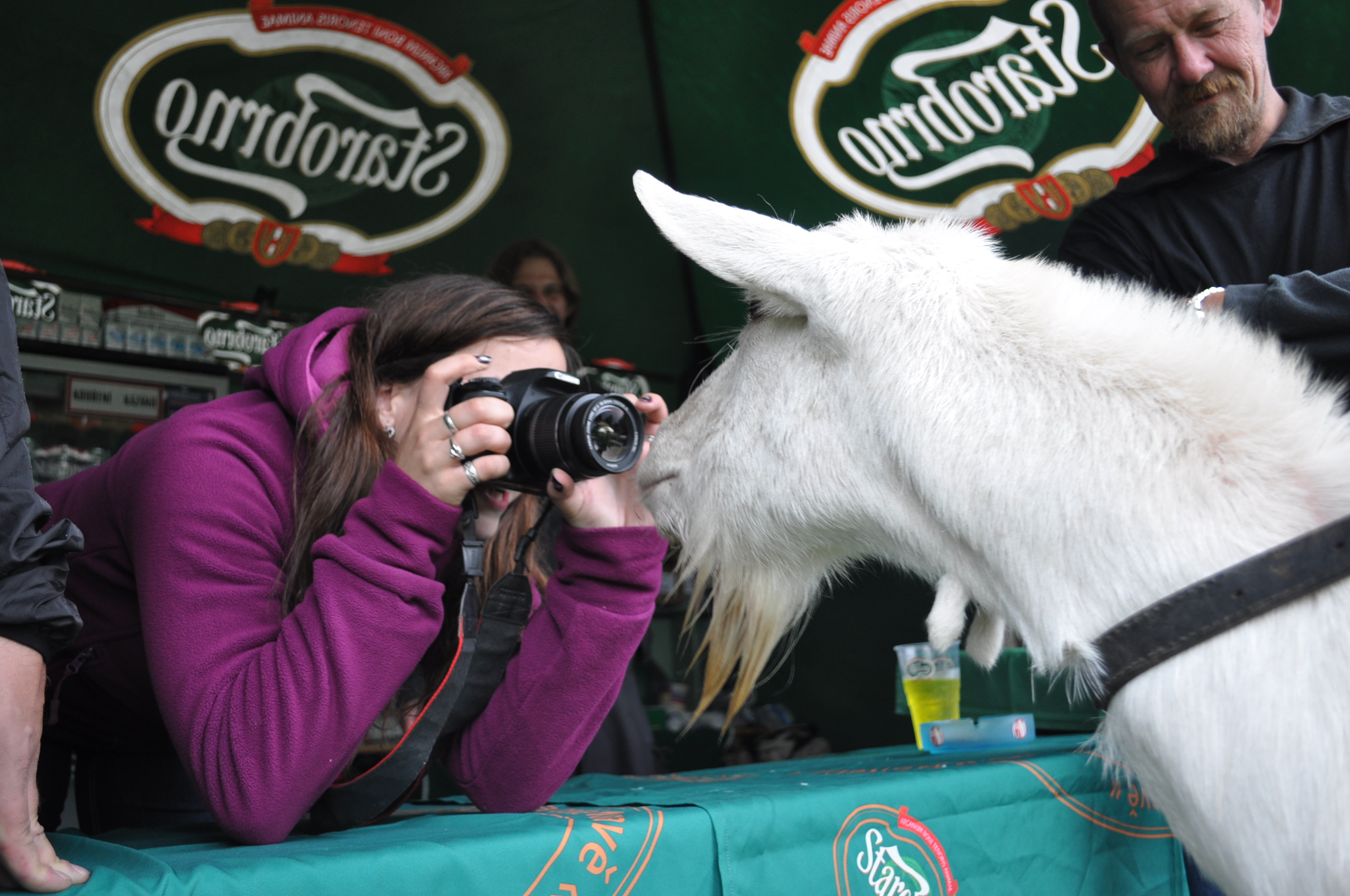 DSC_10001 (62)