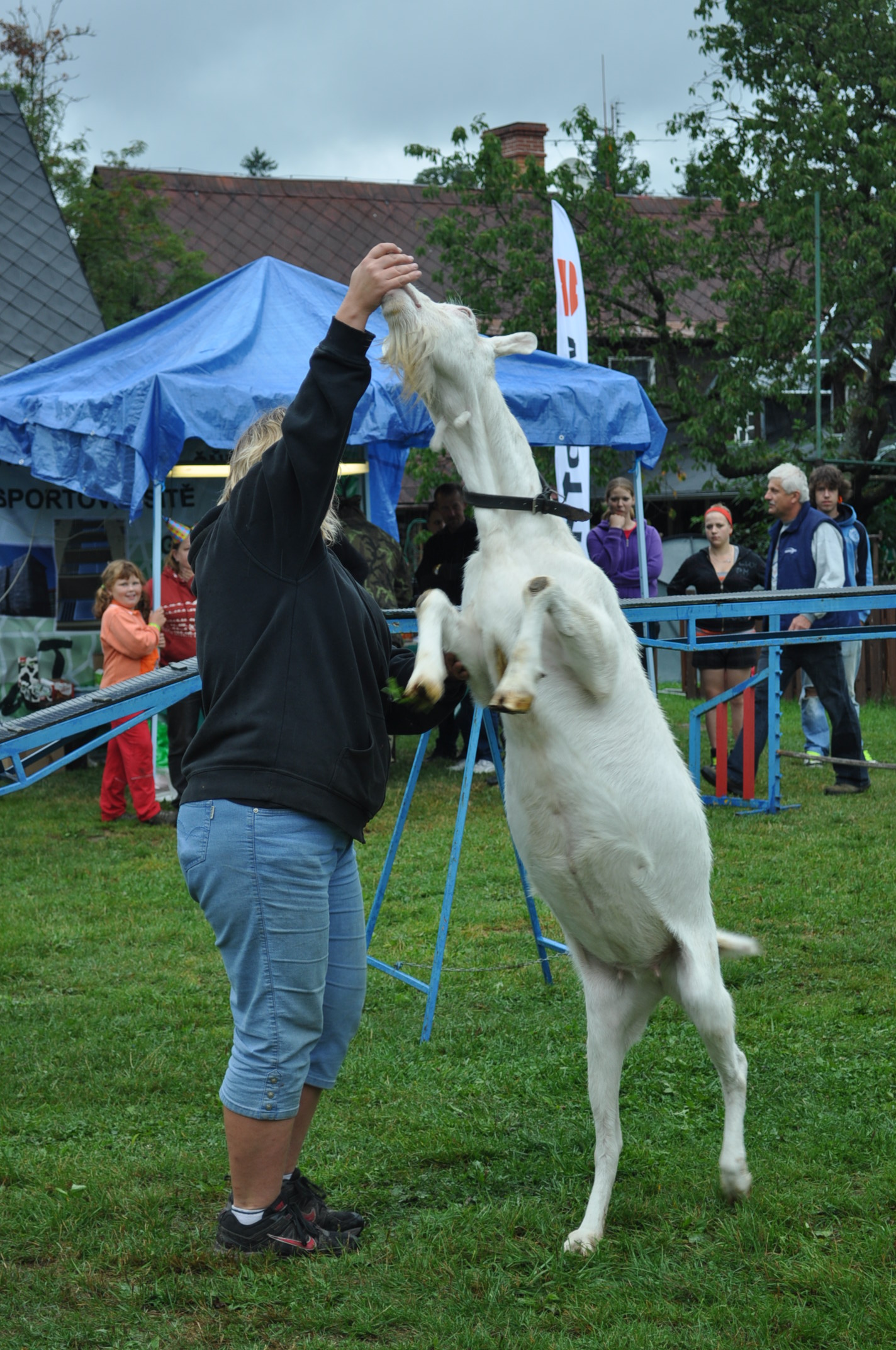 DSC_10001 (74)