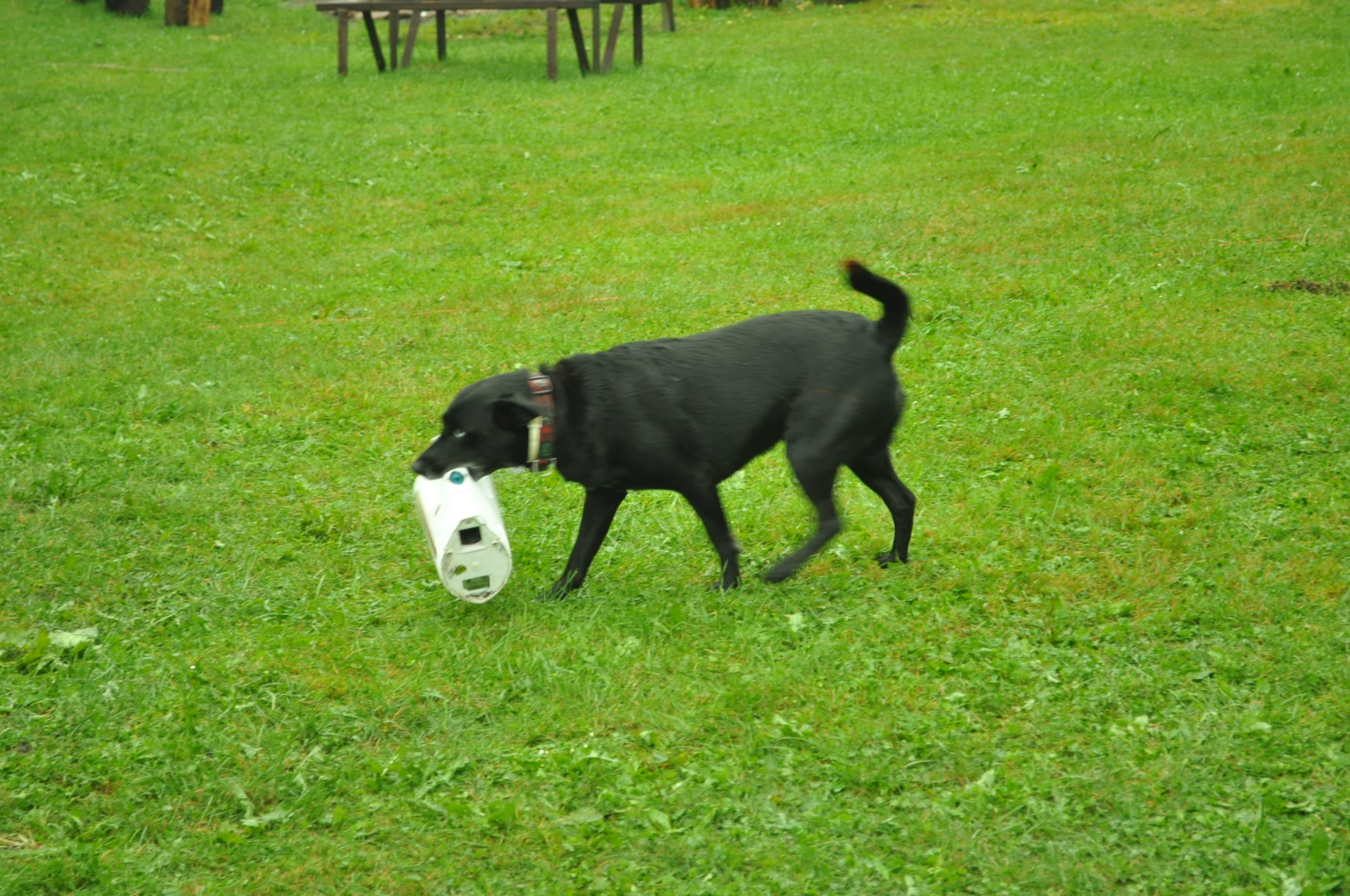 DSC_10001 (251)